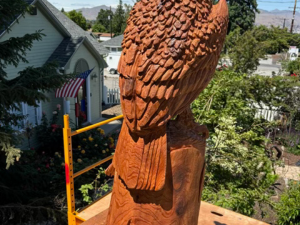 eagle
