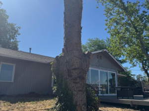 9f85df87-3ae9-4d88-b47a-abc32df60e54