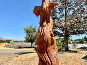 ccff2778-ef56-4189-908c-fc46fc9fced0