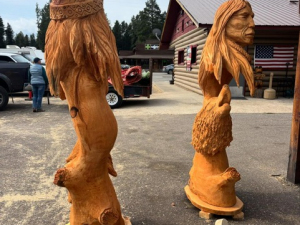 d26f3a99-e98e-4afb-b65d-fee3f5b79cb6