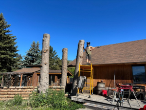 ecf95cad-c514-4f4b-b3ba-d33763512a3f