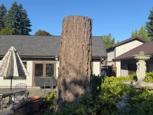 3A971ADF-047E-4F05-A8A7-1F84BFA3FAF1