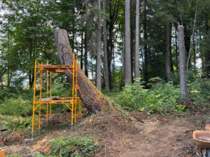 56327567-09e5-4d45-8139-6d1dec5bc835