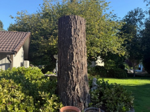 BCC7704A-E683-4BB3-8951-E82BBBD765A7