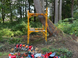 e9f41dd6-7755-4b12-bc12-0158aad35406