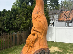 Hollow Wildlife Cedar Stump - Heron, Owl, Squirrel, Birds - Seattle, WA
