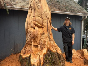 Hollow Wildlife Cedar Stump - Heron, Owl, Squirrel, Birds - Seattle, WA