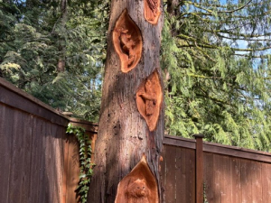 Twisted Wildlife Stump - Heron, Crow , Owls, Ferns - Leavenworth, WA