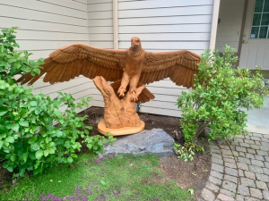Eagle Wings Out - Commissioned Offsite - Priest River, ID