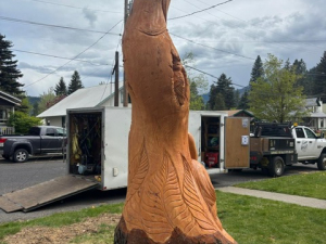 Salmon Jumping - Kennewick, WA