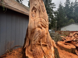 Hollow Wildlife Cedar Stump - Heron, Owl, Squirrel, Birds - Seattle, WA