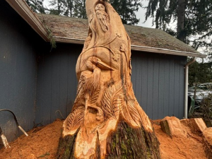 Hollow Wildlife Cedar Stump - Heron, Owl, Squirrel, Birds - Seattle, WA