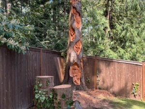 Twisted Wildlife Stump - Heron, Crow , Owls, Ferns - Leavenworth, WA