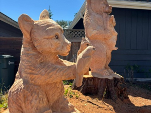Bear Family - Two Stumps - Kent, WA