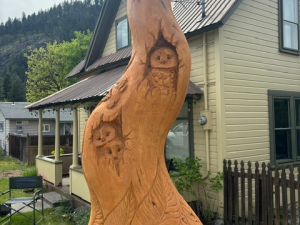 Hollow Wildlife Cedar Stump - Heron, Owl, Squirrel, Birds - Seattle, WA