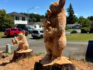 Bear Family - Two Stumps - Kent, WA